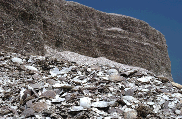 �L�k�H��,�N���b�N�Ŋg��